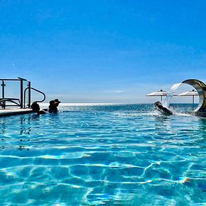 Park Hotel Pineta & Dependance Suite